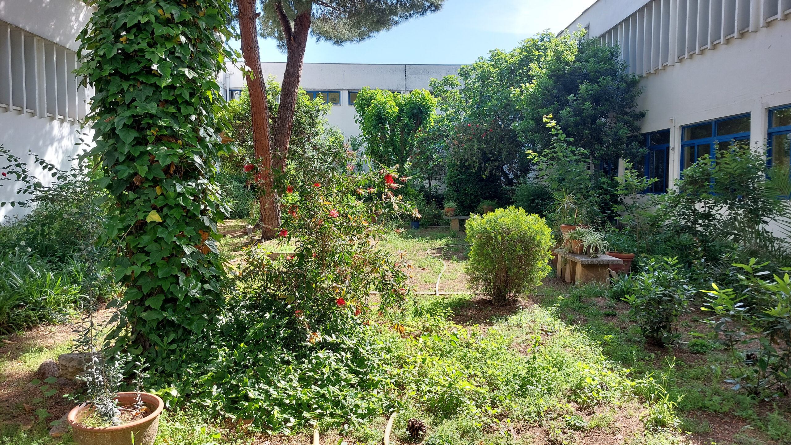I.E.S. Santa Eulalia